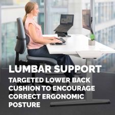 Fellowes Breyta Lumbar Back Support Cushion thumbnail 5
