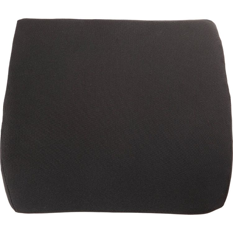 Fellowes Breyta Comfort Back Support Cushion