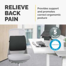 Fellowes Breyta Comfort Back Support Cushion thumbnail 6