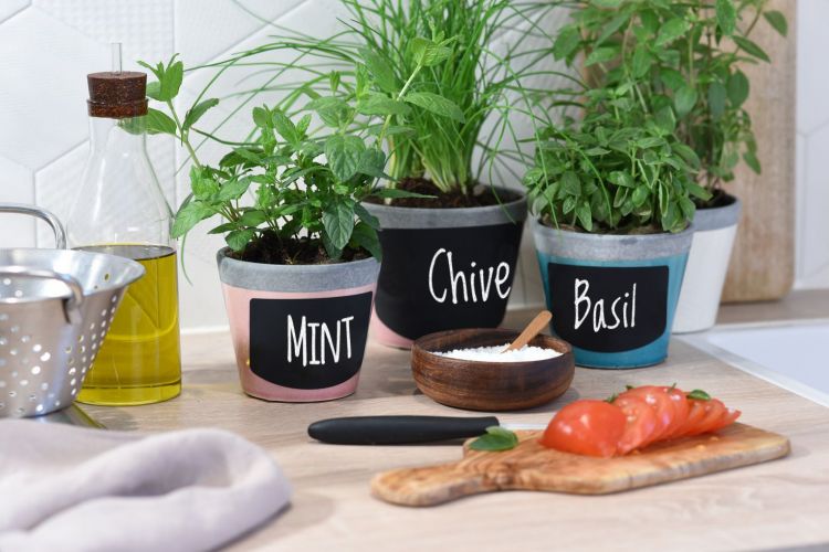 Avery CONG24 63.5 mm x 33 mm freezer-proof Labels - Image 3