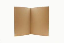 Exacompta Guildhall 100PK Square Cut Folder Foolscap 315gsm Buff thumbnail 1