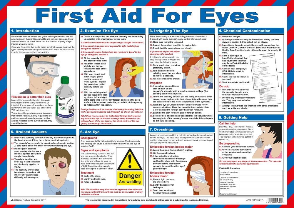 First Aid for Eyes Poster A2 Laminated